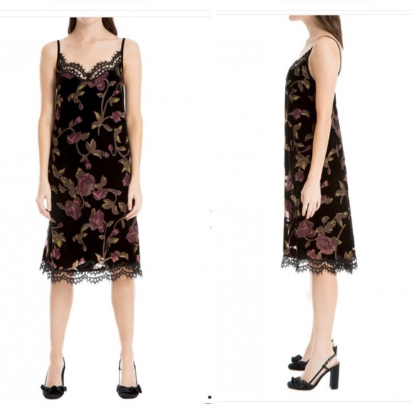 Max Studio Devere`Burned out Velvet Dres - Picture 6 of 8